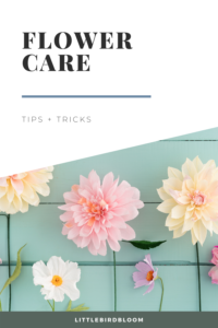 how to care for flowers