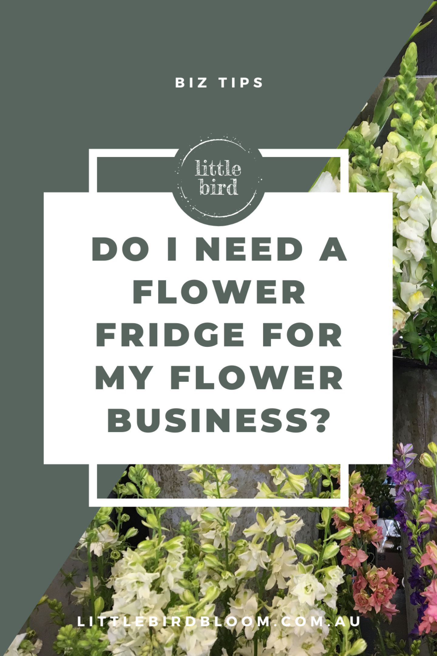 Do I need a flower cooler for my flower business?