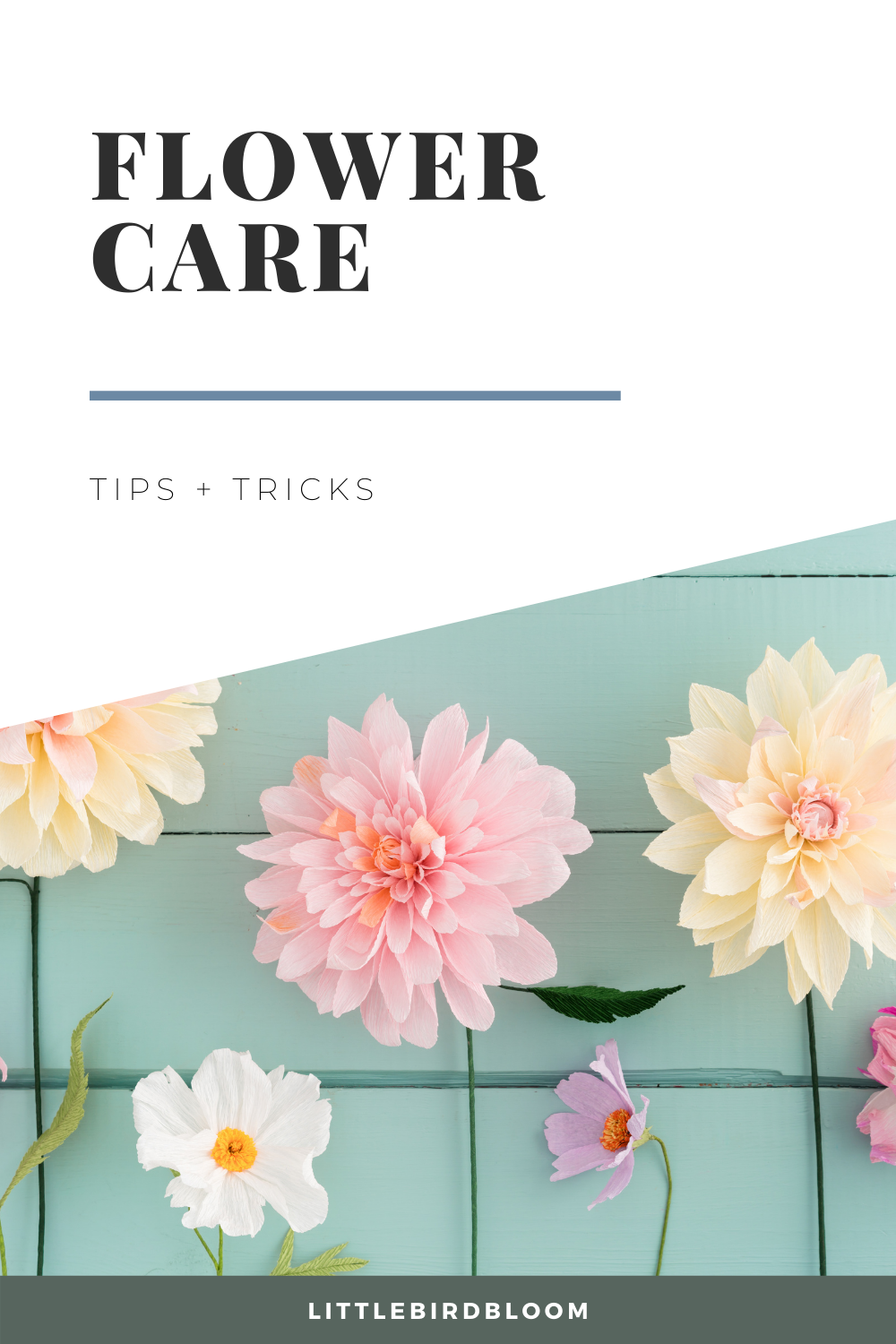 flower care tips + tricks